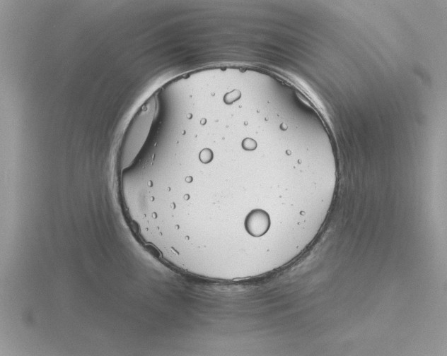 X0000115821243200912111244