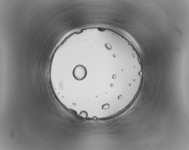 X0000115821244200912111244