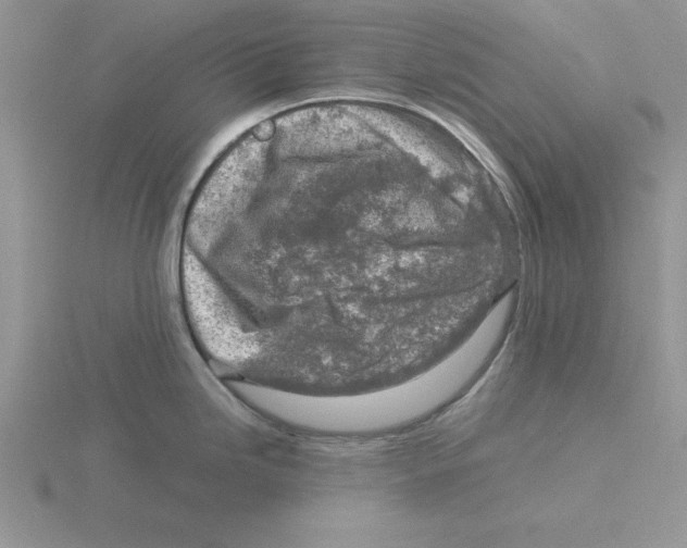 X0000115821246200912111244