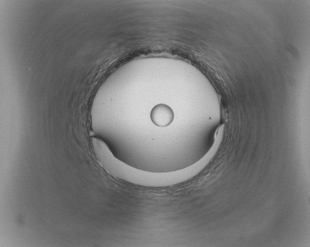 X0000115821249200912111244