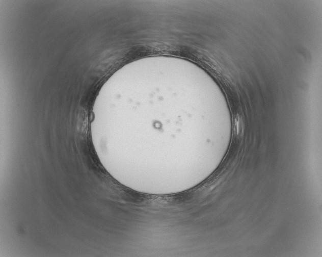 X0000115821251200912111244