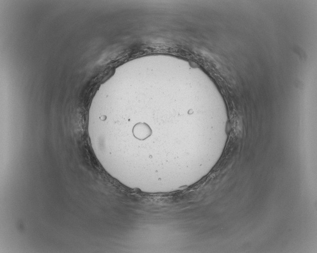 X0000115821253200912111244