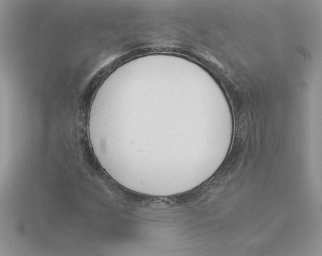 X0000115821255200912111244