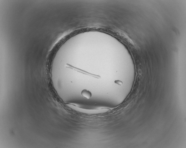 X0000115821256200912111244