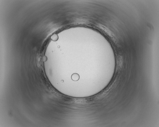 X0000115821258200912111244