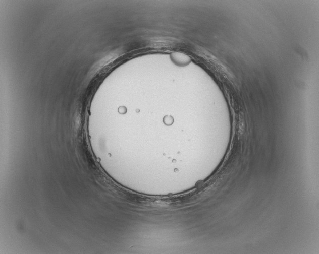 X0000115821261200912111243