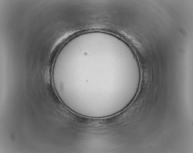 X0000115821262200912111243