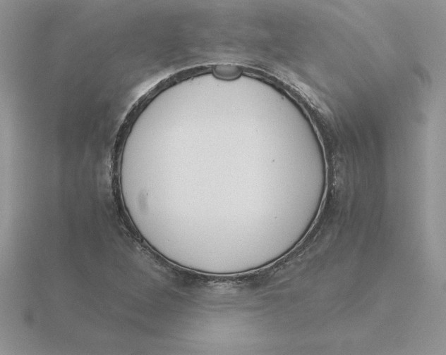 X0000115821264200912111243