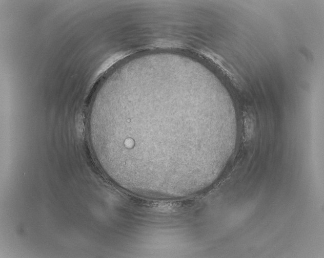 X0000115821266200912111243