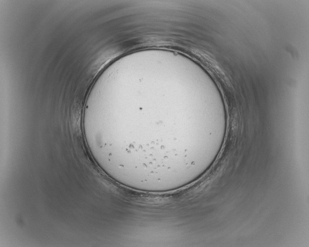 X0000115821273200912111243