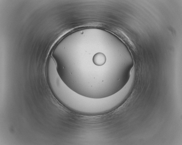 X0000115821276200912111243