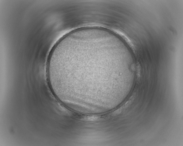 X0000115821278200912111243