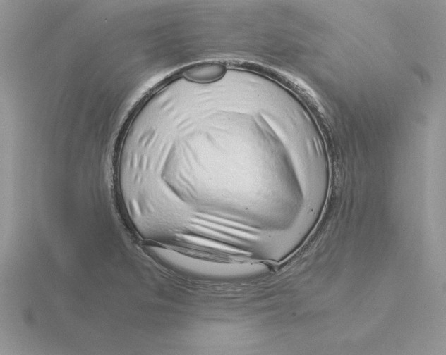 X0000115821279200912111243