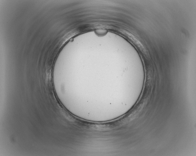 X0000115821281200912111243