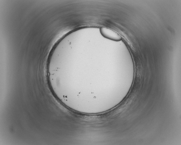 X0000115821285200912111243