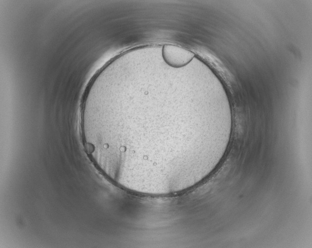 X0000115821286200912111243