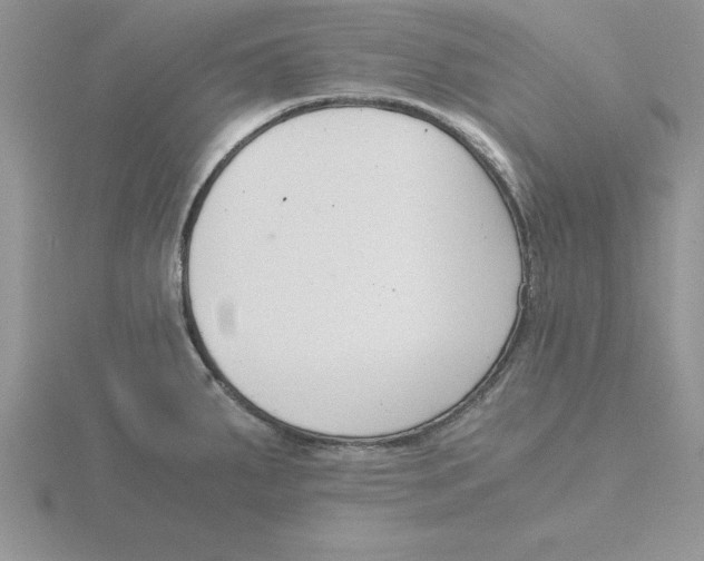 X0000115821287200912111243