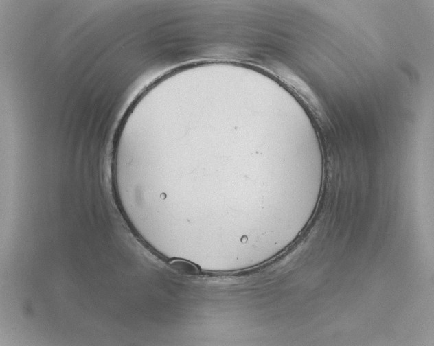 X0000115821288200912111243