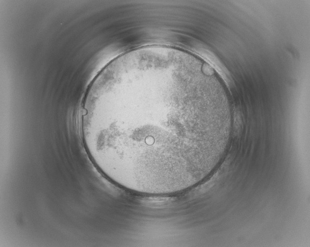 X0000115821290200912111243