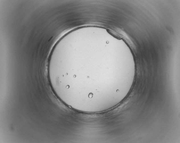 X0000115821292200912111243