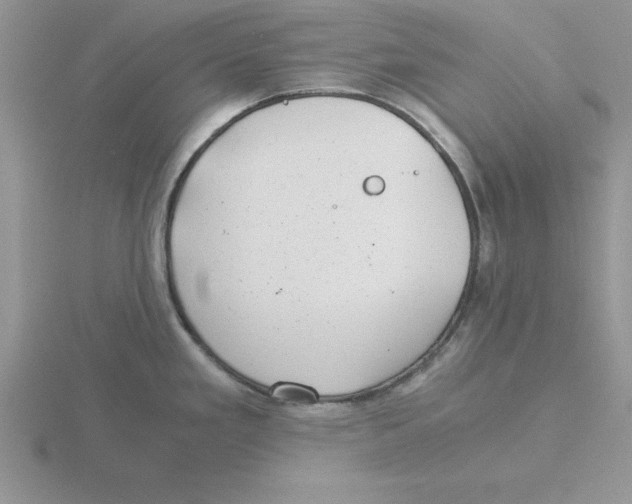 X0000115821293200912111243