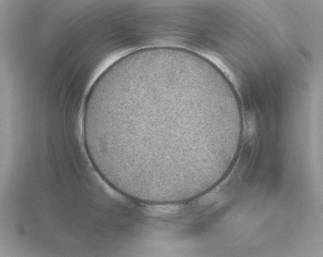 X0000115821294200912111243