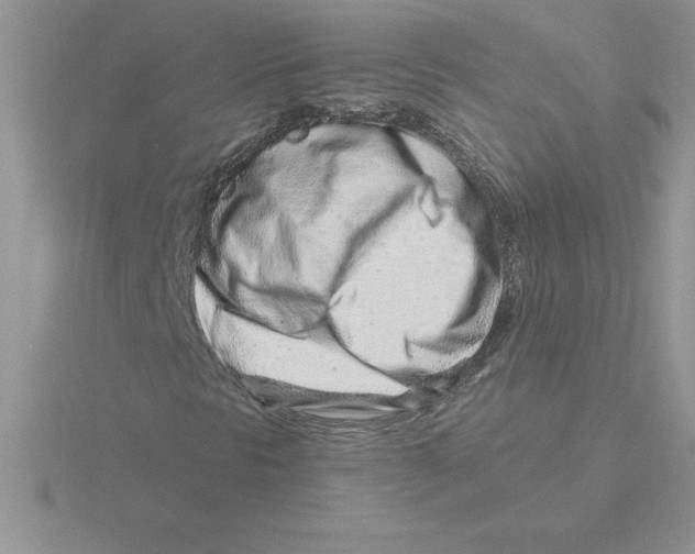 X0000115821297200912111242