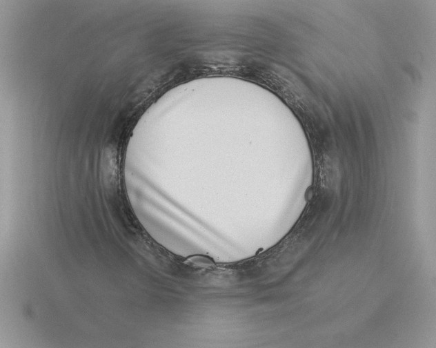 X0000115821298200912111242