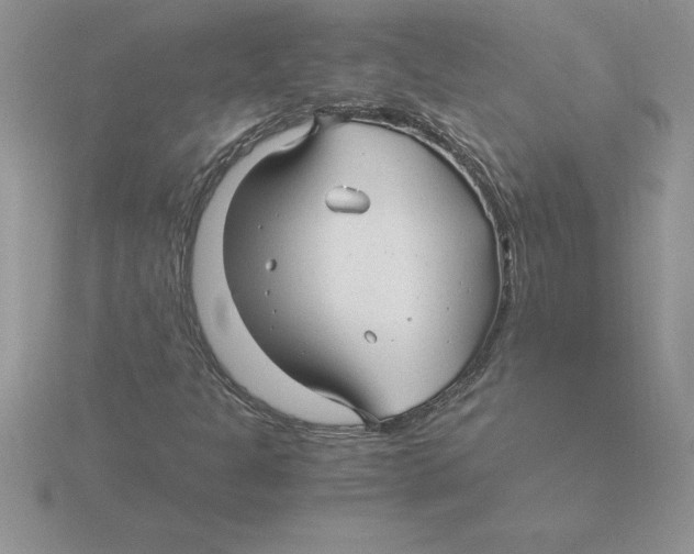 X0000115821301200912111242