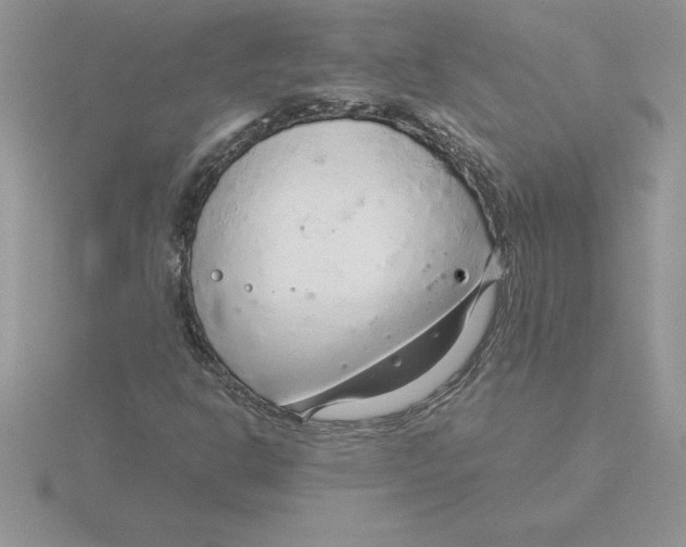 X0000115821302200912111242