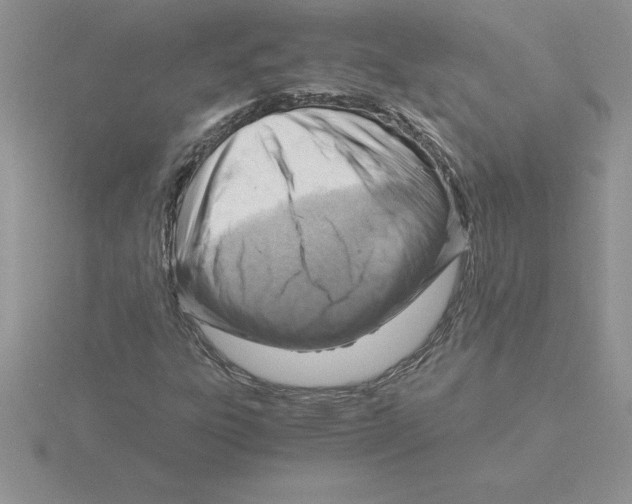 X0000115821303200912111242