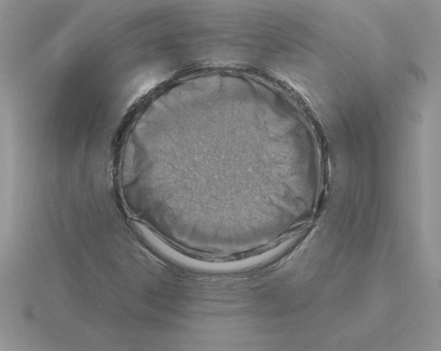 X0000115821306200912111243