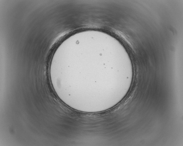 X0000115821307200912111243