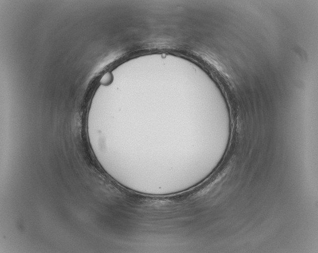 X0000115821309200912111243