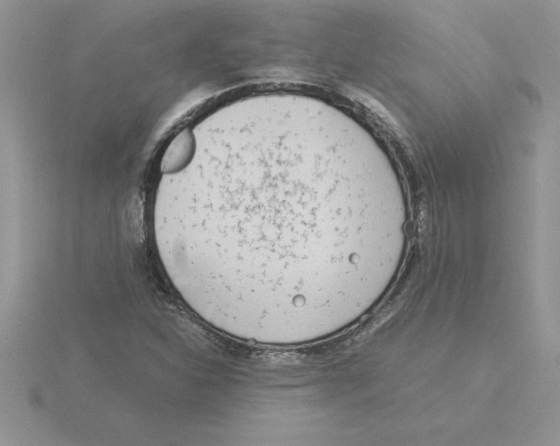 X0000115821310200912111243