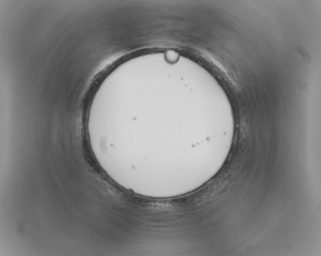 X0000115821315200912111243