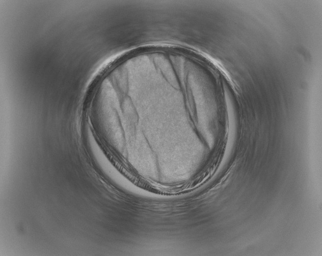 X0000115821319200912111243