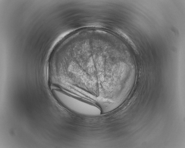 X0000115821323200912111243