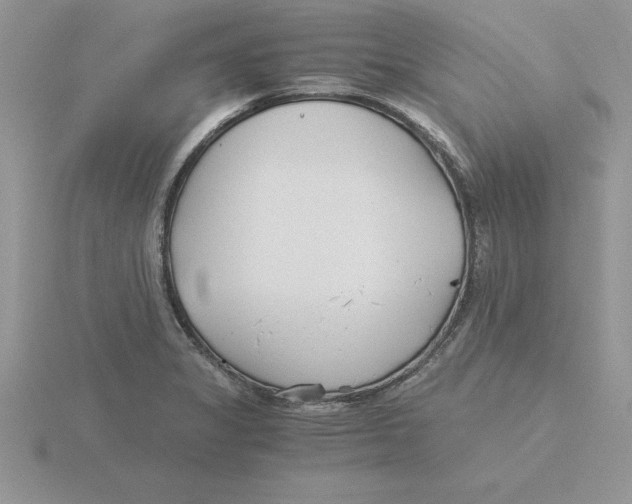 X0000115821325200912111243