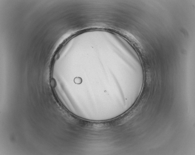 X0000115821326200912111243