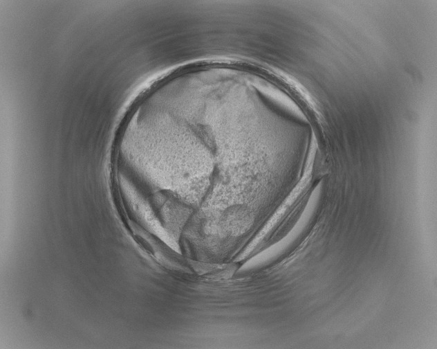 X0000115821327200912111243