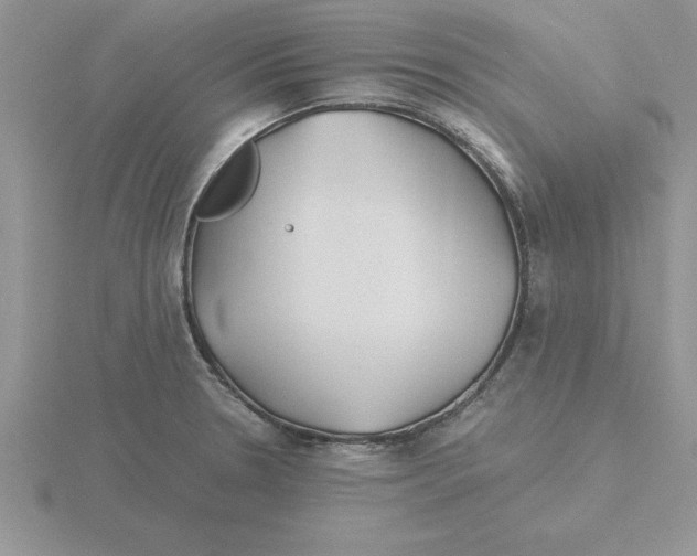 X0000115821330200912111243