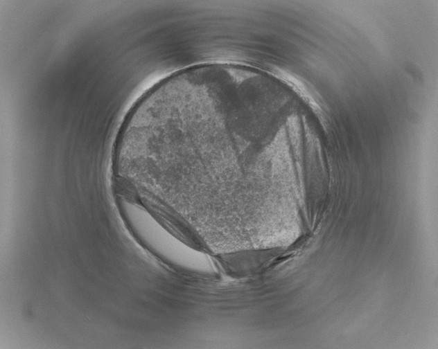 X0000115821331200912111243