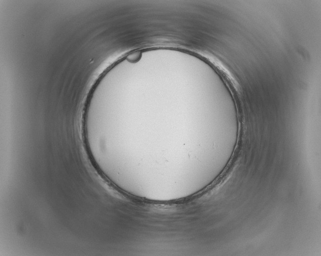 X0000115821333200912111243