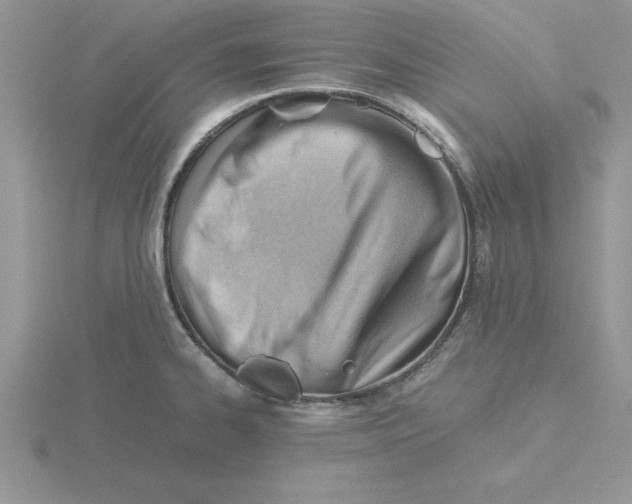 X0000115821334200912111243