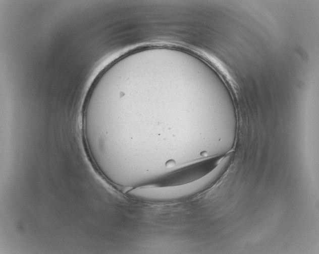 X0000115821335200912111243