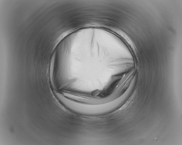 X0000115821337200912111243