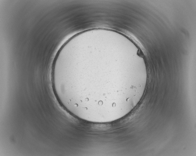 X0000115821339200912111243