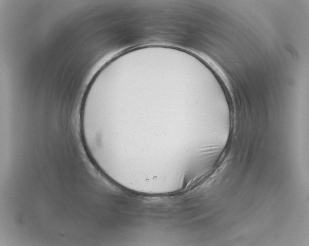 X0000115821341200912111243