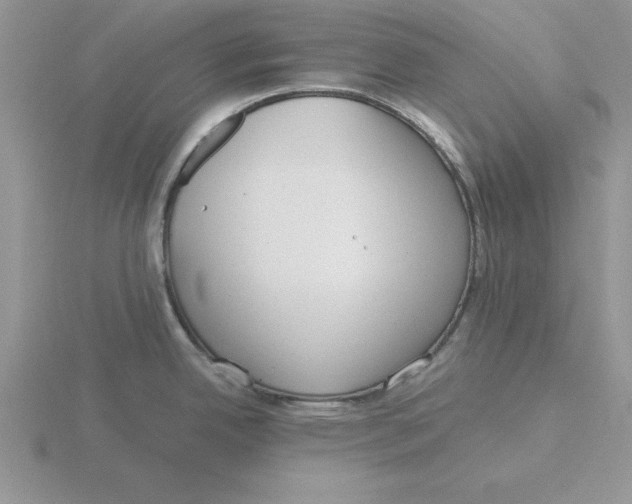 X0000115821342200912111243